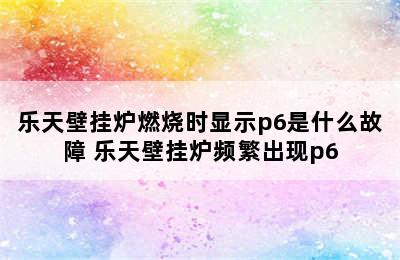 乐天壁挂炉燃烧时显示p6是什么故障 乐天壁挂炉频繁出现p6